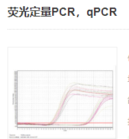 熒光定量PCR，qPCR實(shí)驗(yàn)服務(wù)